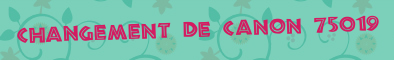 Changement de canon 75019